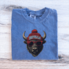 Vintage Buffalo Football T-shirt