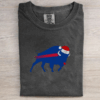 Vintage Buffalo Football T-shirt